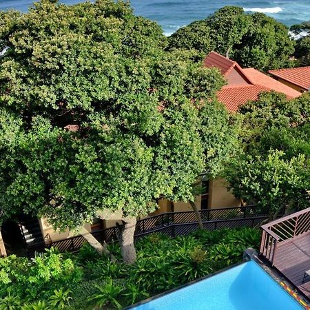 Anew Hotel Ocean Reef Zinkwazi Eksteriør bilde